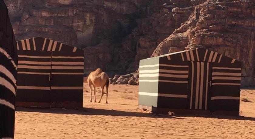 Wadi Rum Desert Heart Camp ภายนอก รูปภาพ